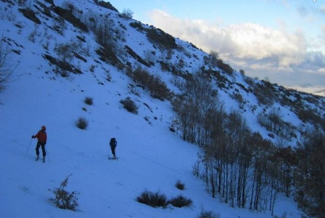  Ski sur neige 